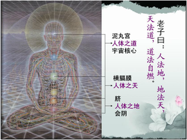 道法自然(出自老子德道经)_360百科