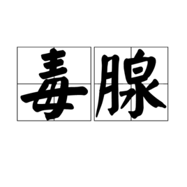 毒腺
