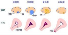 白带过多