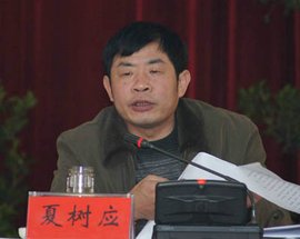 夏树应