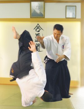 大东流合气柔术