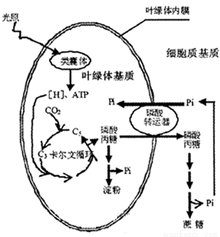 造粉体