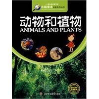 动物和植物