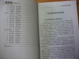 东北政务委员会