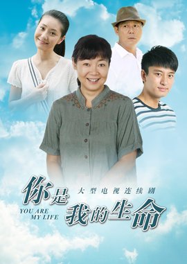 你是我的生命(2010年李文龙执导电视剧)_360百科