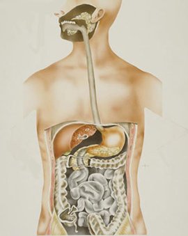肠道疾病
