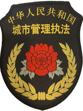 上海市城市管理执法局