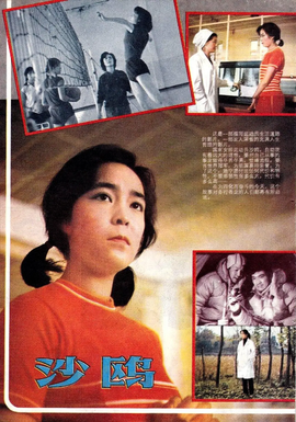 沙鸥1981年张暖忻执导电影
