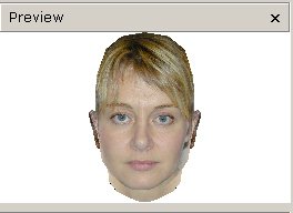 Web3D技术
