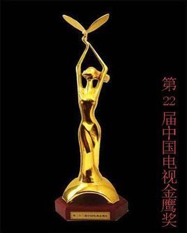 第22届中国电视金鹰奖