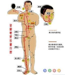 胫部