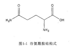 谷氨酰胺