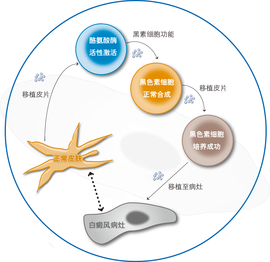 dea(有机合成中间体)_360百科