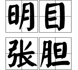 明目张胆