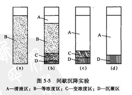 自由沉降