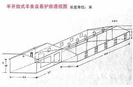 养羊基地