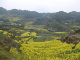 灵山村