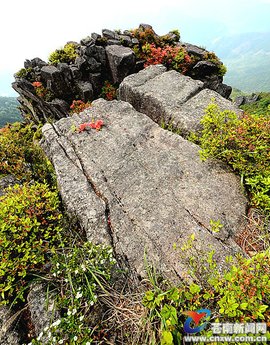 浙江笔架山图片