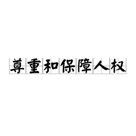 尊重和保障人权