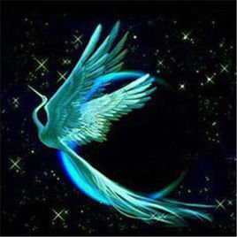 青鴍_360百科