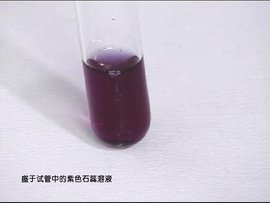 紫色石蕊试液