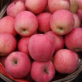 红星苹果