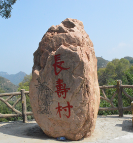 长寿村