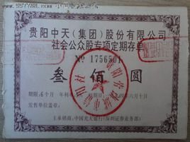 社会公众股
