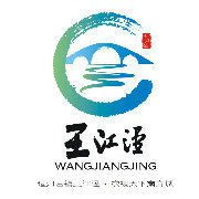 王江泾镇