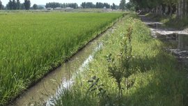 水产生态养殖