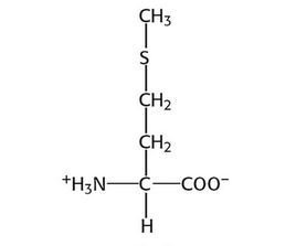 α-氨基酸