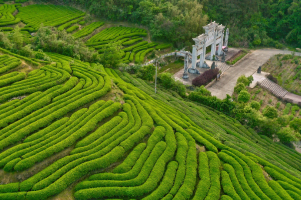 福建旅游攻略自由行最佳线路