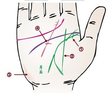 井口生命线：污水井防护网如何筑牢城市安全屏障 (井架生命线)-初仟社区