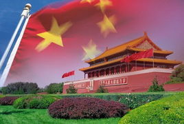 中国女排3比0横扫巴西队挺进世界联赛决赛