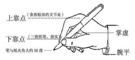 彩虹朋友