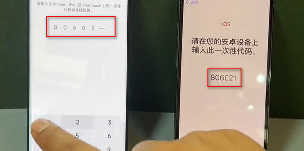 t01061cf3611e6dcd9a.jpg