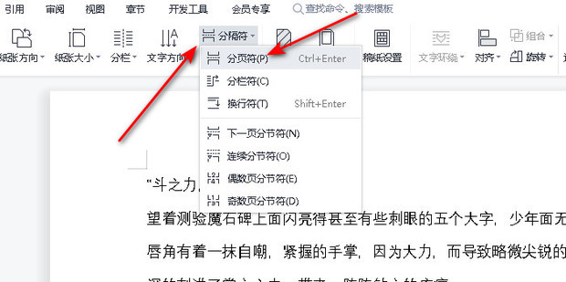 wps怎样一行字两行字在一个格里