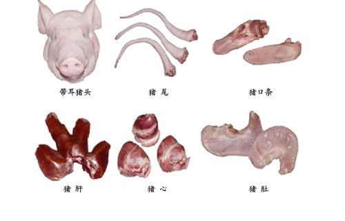 猪副产品图册_360百科