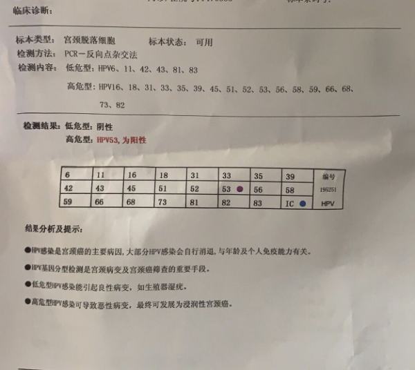 hpv53阳性多久转阴