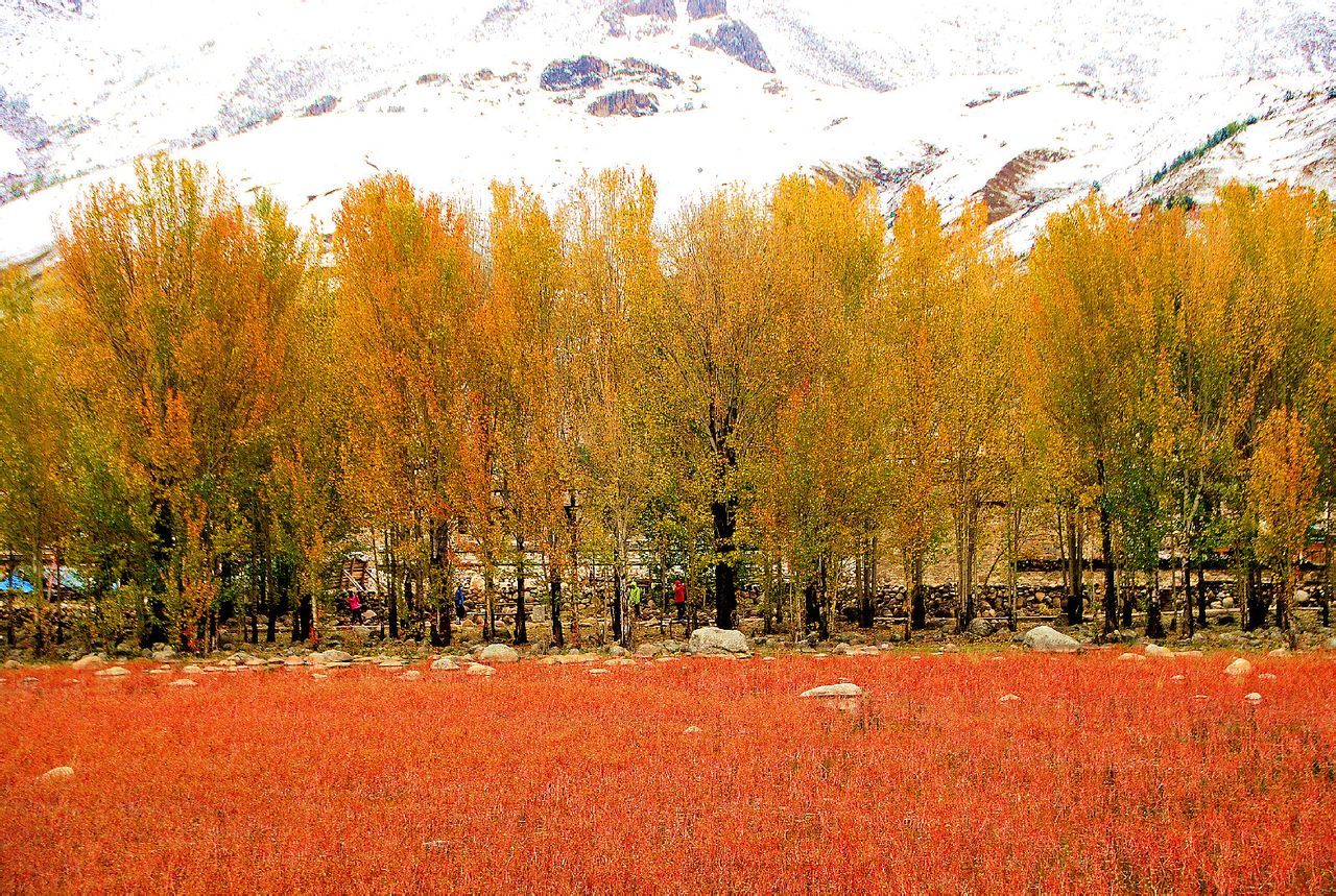 红草地图册_360百科