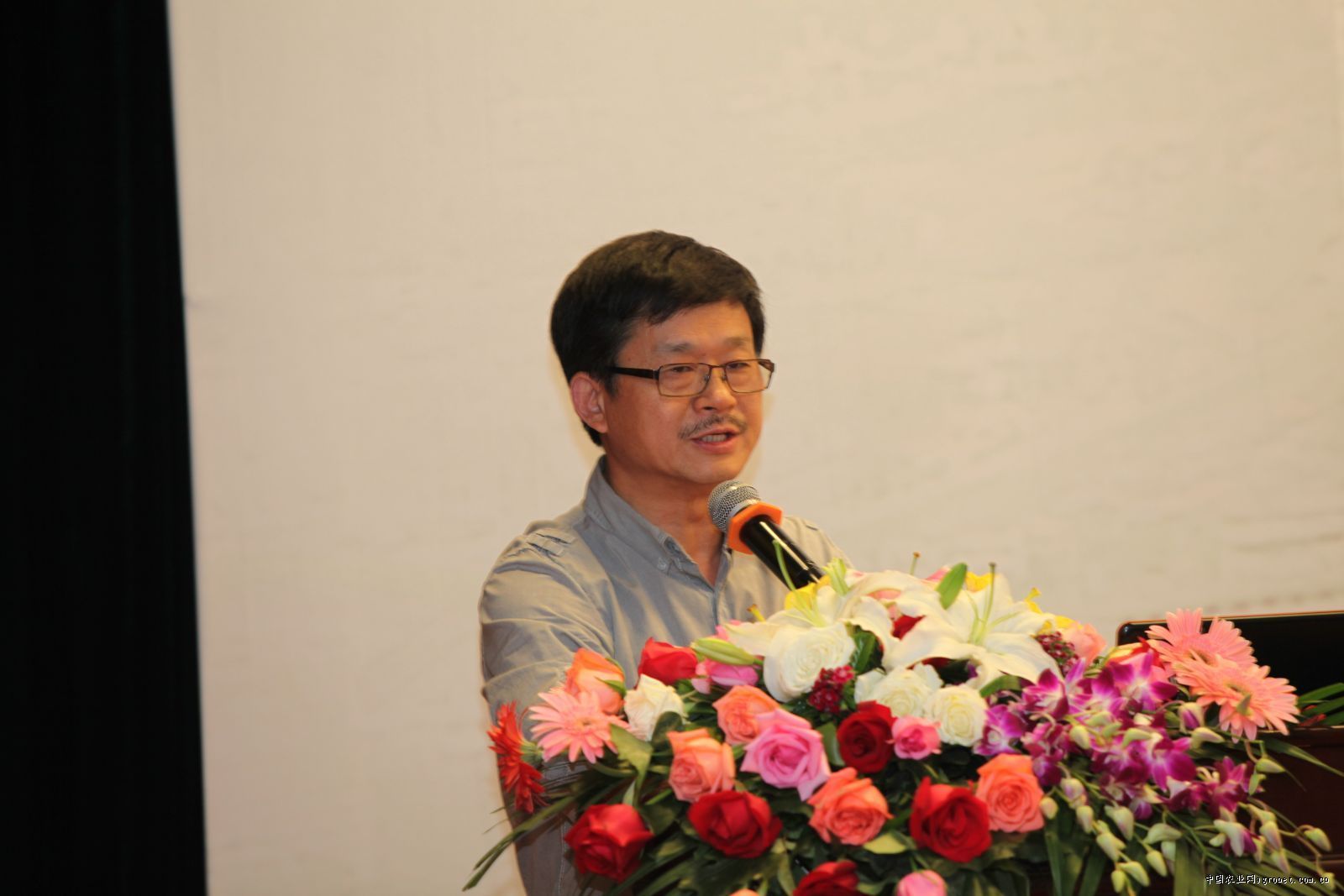 李建伟图册_360百科