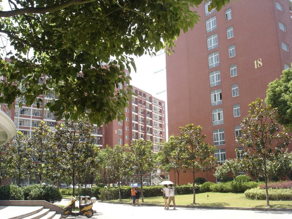 上海建桥学院图册_360百科