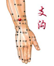 支沟图册_360百科
