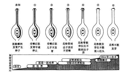 有性繁殖图册_360百科