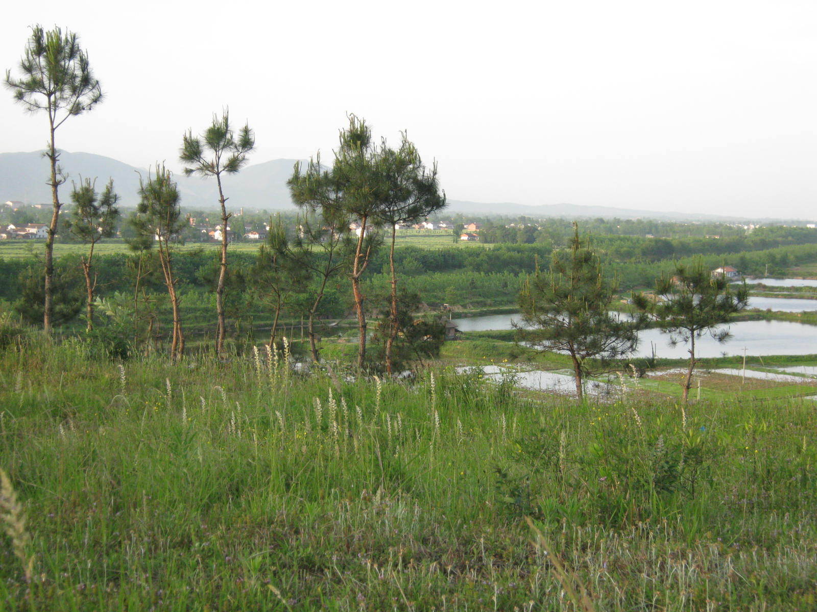 郊区图册_360百科