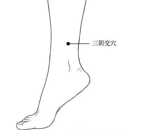 三阴交穴图册_360百科