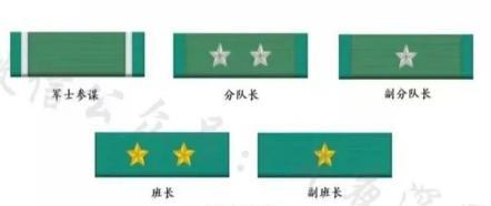 勋表图册_360百科