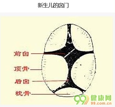 囟门图册_360百科