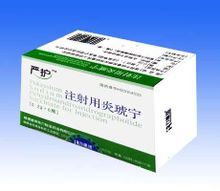 炎琥宁图册_360百科