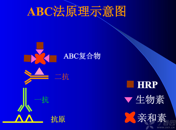 ABC法图册_360百科